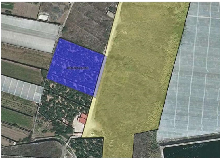 Agencia Estatal Boletín Oficial del Estado